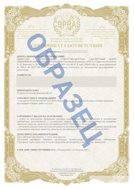 Образец Сертификат СТО 01.064.00220722.2-2020 Курагино Сертификат СТО 01.064.00220722.2-2020 